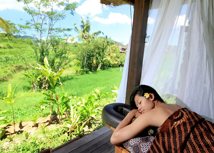 Sawah Indah Sidemen (Bali)